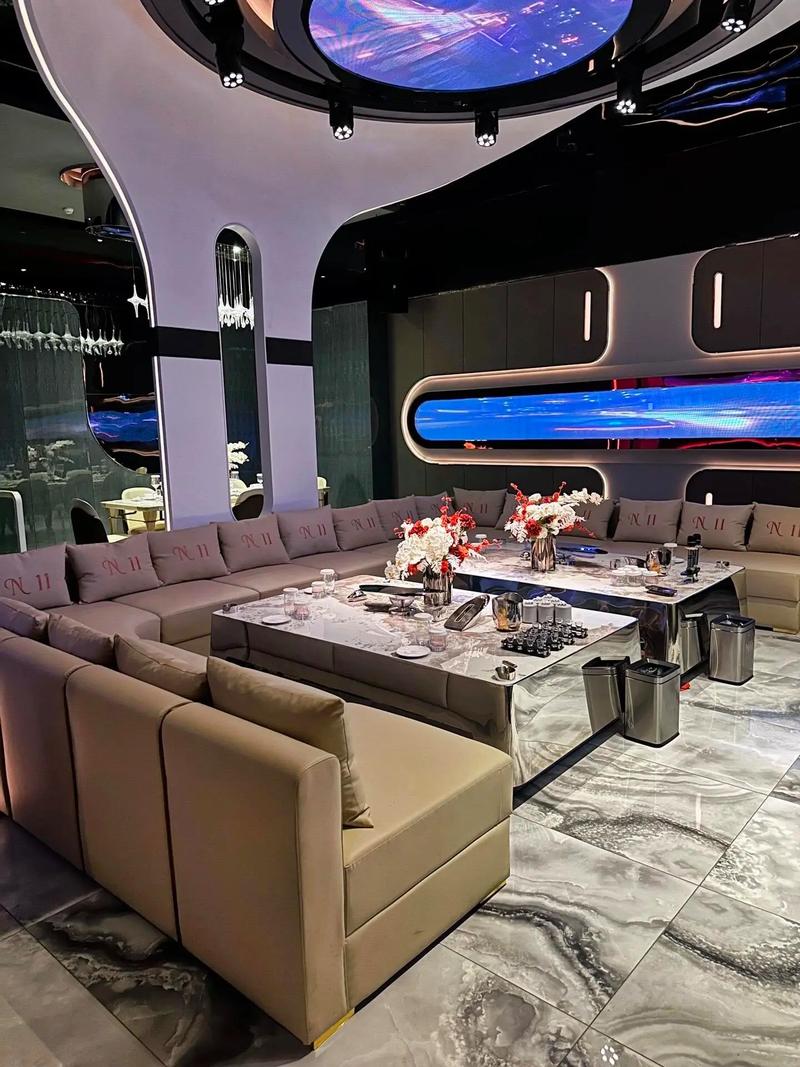 德州商务ktv，商务ktv啥意思?-夏津县ktv预定